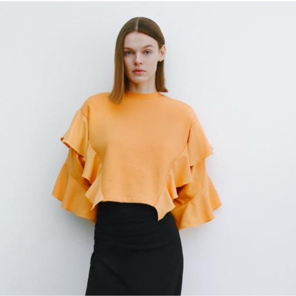 Zara Tops - NWOT Zara Cropped Ruffle Sleeve Top
Size Medium